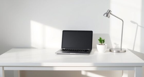 affordable sleek office setup