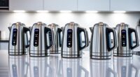 top electric kettles with temperature