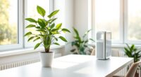air quality and productivity